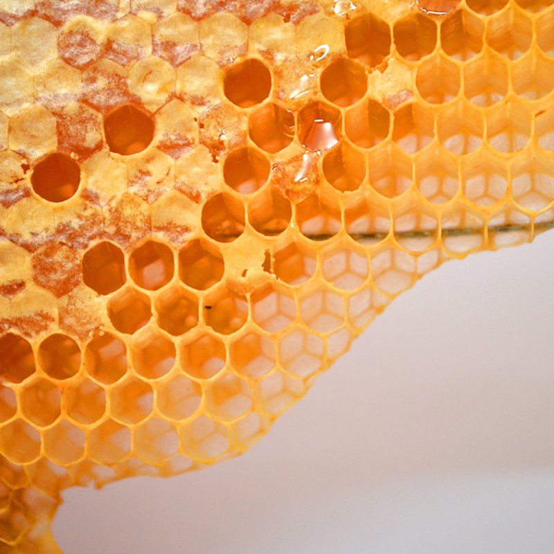 Miel en el panal: qué es y cómo se consume